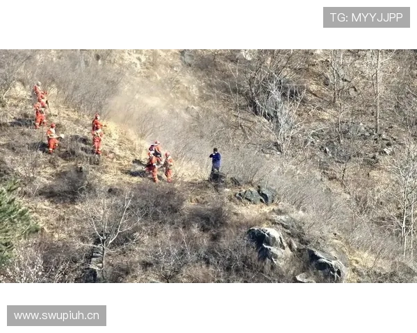 帕利尼亚：防线前屏障的战术价值解析